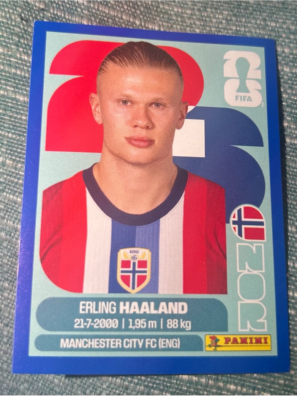 Panini FIFA World Cup 2026 Sticker - White/Gray